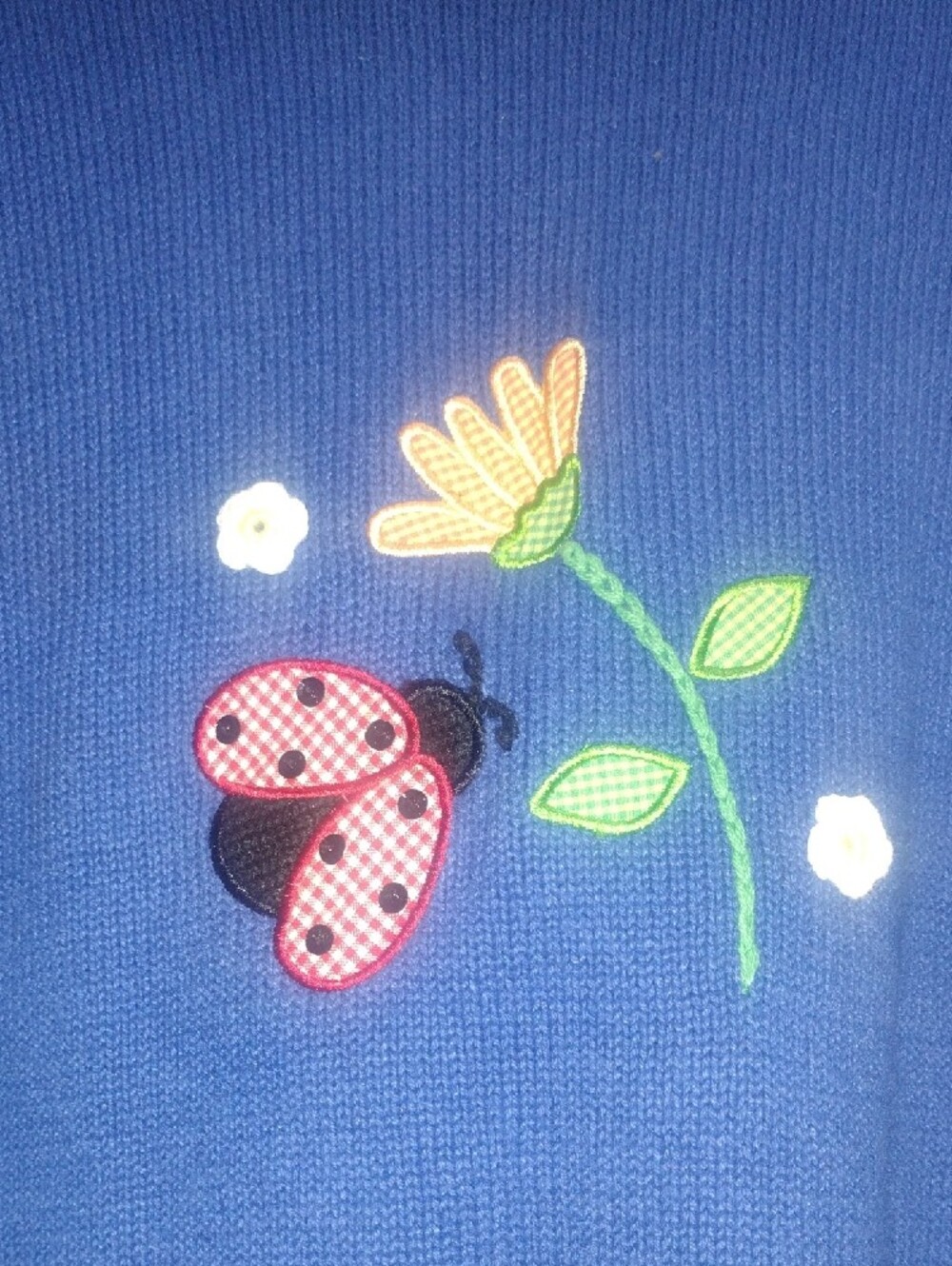 Blue Ladies Short-Sleeve Cardigan with Floral & Ladybug Appliqués - Picture 9 of 10